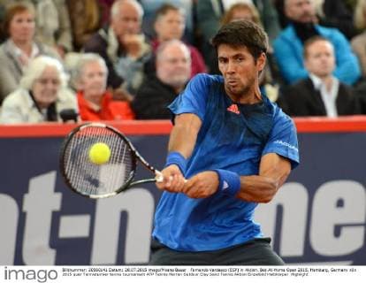Fernando Verdasco (ESP) in Aktion. Bet-At-Home Open 2015, Hamburg, Germany