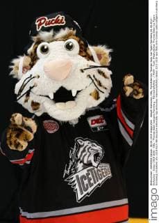 Aktuell Eishockey, DEL, Porträttermin Thomas Sabo Ice Tigers Nürnberg 06.08.2015 - Eishockey - Saison 2015 2016 - DEL - Thomas Sabo Icetigers Nürnberg - Mannschaftsfoto - MaWi - Pucki (Maskottchen Thomas Sabo Ice Tigers Nürnberg) Einzelbild
