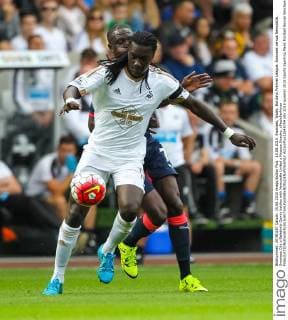 15.08.2015. Swansea, Wales. Barclays Premier League. Swansea versus Newcastle. Swansea City s Bafetimbi Gomis battles with Newcastle United s Moussa Sissoko. xPaulxJenkinsx  ActionPlus11649754