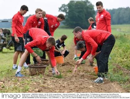 Aktuell Volleyball, 1. BL, Teambuilding, TV Rottenburg während der Kartoffelernte Volleyball 1. Bundesliga 2015 2016 TV Rottenburg beim Teambuildingevent 24.08.2015 TV R Team bei der Kartoffelernte auf der Schwaebischen Alb bei Ehestetten (Kreis Reutlingen); Felix Orthmann (li. vorn) und Co-Trainer Karsten Haug (re. vorn) 