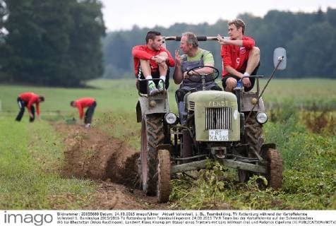 Aktuell Volleyball, 1. BL, Teambuilding, TV Rottenburg während der Kartoffelernte Volleyball 1. Bundesliga 2015 2016 TV Rottenburg beim Teambuildingevent 24.08.2015 TV R Team bei der Kartoffelernte auf der Schwaebischen Alb bei Ehestetten (Kreis Reutlingen); Landwirt Klaus Koenig am Steuer eines Traktors mit Lars Wilmsen (re) und Federico Cipollone (li) 