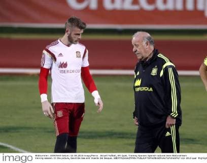 Aktuell Fußball, EM Quali, Training Spanien Spanish national team Nationalteam training session. In this picture, David De Gea and Vicente Del Bosque. xBEATRIZxGUZMANx 