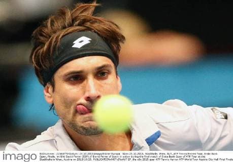 Wien 25.10.2015, Stadthalle, Wien, AUT, ATP Tennis Herren Tour, Erste Bank Open, Finale, im Bild David Ferrer (ESP) David Ferrer of Spain in action during the final match of Erste Bank Open of ATP Tour at the Stadthalle in Wien, Austria on 2015 10 25.  EP_tha  