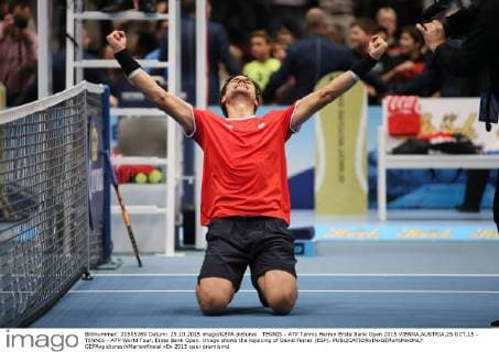 TENNIS - ATP Tennis Herren Erste Bank Open 2015 VIENNA,AUSTRIA,25.OCT.15 - TENNIS - ATP World Tour, Erste Bank Open. Image shows the rejoicing of David Ferrer (ESP). GEPAxpictures xMarioxKneisl