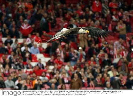 Fußball, Champions League, Benfica Lissabon - Galatasaray Istanbul UEFA Champions League Group C football match between Benfica and Galatasaray at Estadio da Luz Stadium in Lisbon, Portugal on 03 November , 2015. Pictured: Benfica icon - Eagle 
