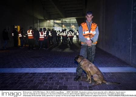 - GENT, BELGIUM: Illustration picture shows security with a detection dog to search fans for fireworks at the entrance of the stadium before a soccer game between Belgian team KAA Gent and Spanish club Valencia CF in Gent, Wednesday 04 November 2015, game four in group H of the group stage of the UEFA Champions League tournament. YORICKxJANSENS  x04733398x