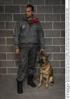 - GENT, BELGIUM: Illustration picture shows security with a detection dog to search fans for fireworks at the entrance of the stadium before a soccer game between Belgian team KAA Gent and Spanish club Valencia CF in Gent, Wednesday 04 November 2015, game four in group H of the group stage of the UEFA Champions League tournament. YORICKxJANSENS  x04733405x