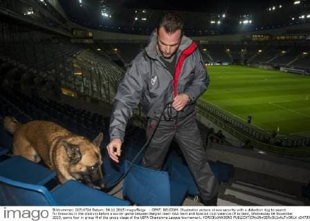 - GENT, BELGIUM: Illustration picture shows security with a detection dog to search for fireworks in the stadium before a soccer game between Belgian team KAA Gent and Spanish club Valencia CF in Gent, Wednesday 04 November 2015, game four in group H of the group stage of the UEFA Champions League tournament. YORICKxJANSENS  x04733401x