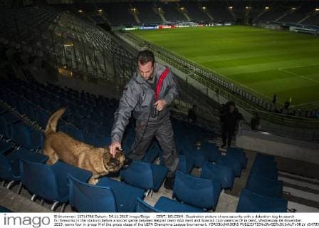 - GENT, BELGIUM: Illustration picture shows security with a detection dog to search for fireworks in the stadium before a soccer game between Belgian team KAA Gent and Spanish club Valencia CF in Gent, Wednesday 04 November 2015, game four in group H of the group stage of the UEFA Champions League tournament. YORICKxJANSENS  x04733402x
