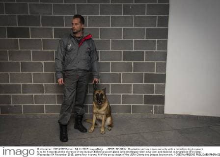 - GENT, BELGIUM: Illustration picture shows security with a detection dog to search fans for fireworks at the entrance of the stadium before a soccer game between Belgian team KAA Gent and Spanish club Valencia CF in Gent, Wednesday 04 November 2015, game four in group H of the group stage of the UEFA Champions League tournament. YORICKxJANSENS  x04733406x