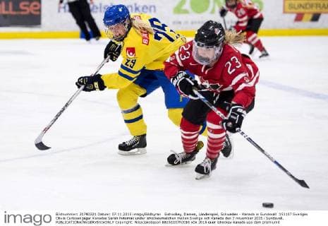 Eishockey, Damen, Länderspiel, Schweden - Kanada in Sundsvall 151107 Sveriges Olivia Carlsson jagar Kanadas Sarah Potomak under ishockeymatchen mellan Sverige och Kanada den 7 november 2015 i Sundsvall.  Copyright: NilsxJakobsson BB151107NJ010