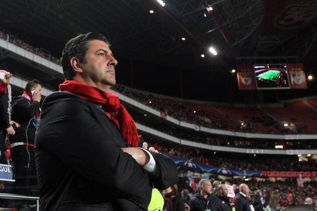 Fußball, Champions League, Benfica Lissabon - FC Zenit St Petersburg Feb. 16, 2016 - Lisbon, Portugal - Benfica s head coach Rui Vitria before the UEFA Champions League round of 16 football match between SL Benfica and FC Zenith at the Luz stadium in Lisbon on February 16, 2016. UEFA Champions League - Benfica Vs Zenith  - ZUMAn230