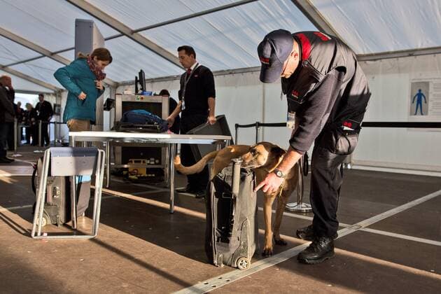 Berlin Sprengstoffhund bei der Einlasskontrolle der Medien beim Freundschaftsspiel Deutschland vs England am 26.03.2016, Copyright: Schülerx xEibner-Pressefoto EP_jse