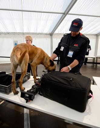 26. Maerz 2016: Berlin, Olympiastadion: Fussball Testspiel: Deutschland - England: Ein Spuerhund untersucht am Eingang den Koffer eines Gastes nach Sprengstoff.