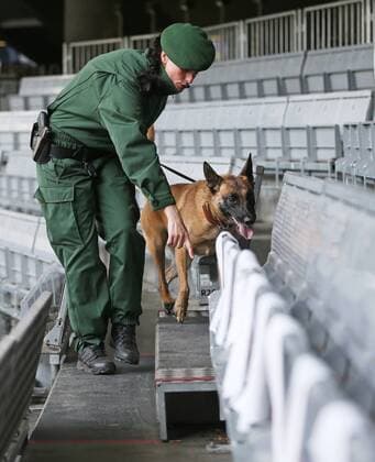 Fußball, Polizei durchsucht die Allianzarena vor dem Länderspiel Deutschland - Italien SOCCER - GER vs ITA, test match MUNICH,GERMANY,29.MAR.16 - SOCCER - international match Länderspiel Germany vs Italy, friendly match. Image shows a policewoman with a dog. GEPAxpictures xThomasxBachun