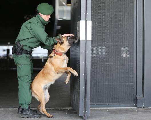 Fußball, Polizei durchsucht die Allianzarena vor dem Länderspiel Deutschland - Italien SOCCER - GER vs ITA, test match MUNICH,GERMANY,29.MAR.16 - SOCCER - international match Länderspiel Germany vs Italy, friendly match. Image shows a policewoman with a dog. GEPAxpictures xThomasxBachun