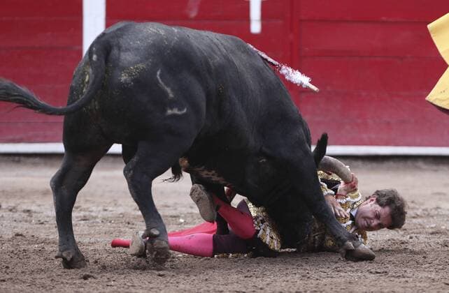 Mexican bullfighter Arturo Saldivar is gored by his first bull 502kg Lobo during the San Marcos National Fair held in Aguascalientes, Mexico, on 08 May 2016. SAN MARCOS NATIONAL FAIR !ACHTUNG: NUR REDAKTIONELLE NUTZUNG!  20160509-635983762044851880