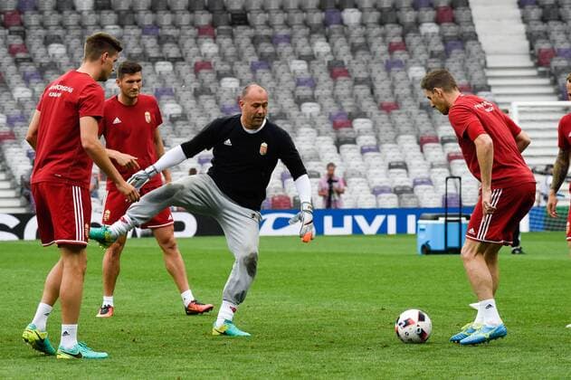 Training Ungarn - Gabor Kiraly FOOTBALL : Ungarn Nationalteam - UEFA EURO EM Europameisterschaft Fussball 2016 - Toulouse - 26 06 2016 ThierryBreton Panoramic 