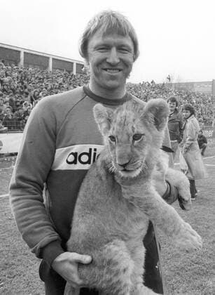 Horst Hrubesch (Fußballspieler) 03 83 strö Horst Hrubesch mit dem Löwenbaby Hotti aus dem Safaripark Stukenbrok, dessen Taufpate er ist, im März 1983 auf der Bielefelder Alm Deutschland deutsch deutscher Mann Fußballer Fußball Spieler Nationalspieler Ex ehemalig ehemaliger Trainer Fußballtrainer Bielefeld Stadion Fußballstadion Löwe Baby Löwenwelpe Welpe Junges Taufe taufen Löwentaufe Safariland Zoo german soccer football player hoch halb stehend sw