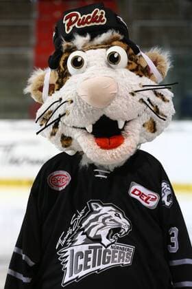 03.08.2016 - Eishockey - Saison 2016 2017 - DEL - Thomas Sabo Icetigers Ice Tigers Nürnberg - Mannschaftsfoto - MaWi - Pucki (Maskottchen Thomas Sabo Ice Tigers Nürnberg) Einzelbild
