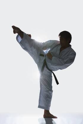 Japanese karate master training R160619_MR02.jpg  (qdwg000993)
