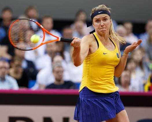 Fed Cup GER-UKR, Deutschland - Ukraine, Juergen Hasenkopf