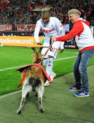 Fussball, Bundesliga, Deutschland, Herren, Saison 2016 2017, 32. Spieltag, Rhein Energie Stadion Köln, 1. FC Köln (weiss) - SV Werder Bremen (lila); Geissbock-Bändiger Anthony Modeste (Köln). Anthony Modeste (Köln) jubelt nach seinem Tor zum 4:2 mit Maskottchen Hennes. Jubel, Freude, Aktion.
