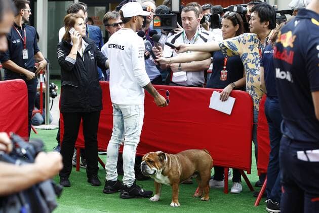 Motorsports: FIA Formula One World Championship WM Weltmeisterschaft 2017, Grand Prix of Spain, 44 Lewis Hamilton (GBR, Mercedes AMG Petronas F1 Team) with his dog Barcelona Spain xHOCHxZWEIx