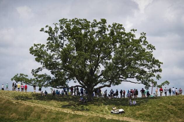 Bilder des Tages - SPORT 170617 skadare har samlats kring ett stort träd för att följa spelet under tredje omgangen i golfturneringen US Open den 17 juni 2017 i Hartford.  Copyright: JOELxMARKLUND BB170617JM012