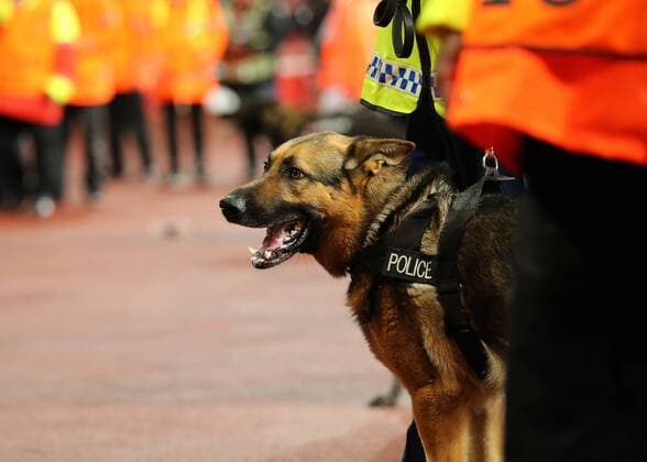14th September 2017, Emirates Stadium, London, England; UEFA Europa League Group stage, Arsenal versus FC Cologne; Police Dogs are called as the atmosphere hightens with the FC Koln fans  ActionPlus11930003