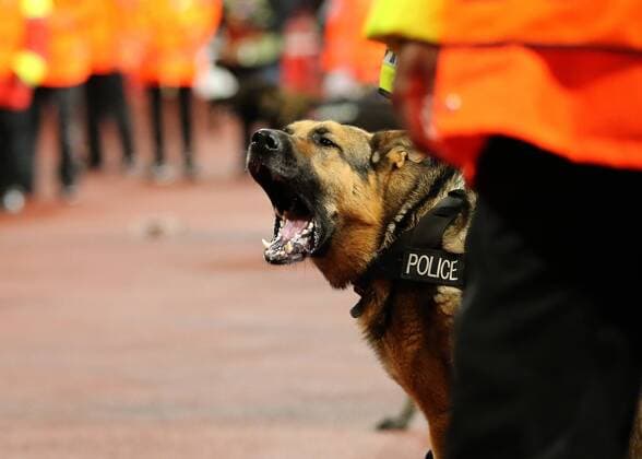 14th September 2017, Emirates Stadium, London, England; UEFA Europa League Group stage, Arsenal versus FC Cologne; Police Dogs are called as the atmosphere hightens with the FC Koln fans  ActionPlus11930004