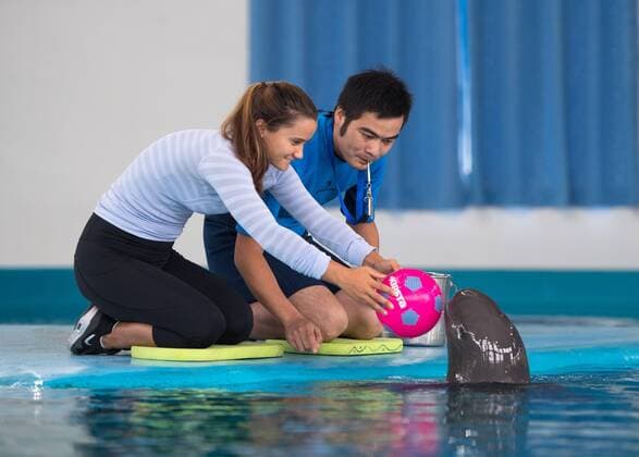 (170923) -- WUHAN, Sept. 23, 2017(Xinhua) -- Lauren Davis (L) of the United States participating in the 2017 WTA Tennis Damen Wuhan Open plays with a finless porpoise during her visit at the Institute of Hydrobiology under Chinese Academy of Sciences in Wuhan, central China s Hubei Province, on Sept. 23, 2017. (Xinhua )(wll) (SP)CHINA-WUHAN-TENNIS-WTA-WUHAN OPEN-LAUREN DAVIS(CN)  - ZUMA XxjpbeE001090_20170923_TPPFN0A001 Copyright: xXiongxQix