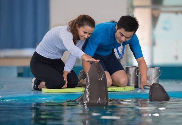 (170923) -- WUHAN, Sept. 23, 2017(Xinhua) -- Lauren Davis (L) of the United States participating in the 2017 WTA Tennis Damen Wuhan Open plays with a finless porpoise during her visit at the Institute of Hydrobiology under Chinese Academy of Sciences in Wuhan, central China s Hubei Province, on Sept. 23, 2017. (Xinhua )(wll) (SP)CHINA-WUHAN-TENNIS-WTA-WUHAN OPEN-LAUREN DAVIS(CN)  - ZUMA XxjpbeE001093_20170923_TPPFN0A001 Copyright: xXiongxQix