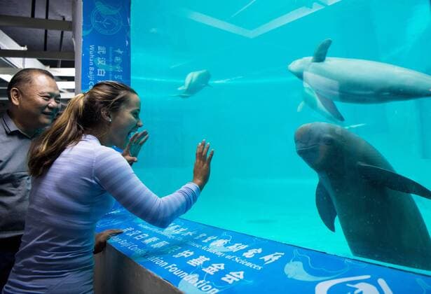 Bilder des Tages - SPORT (170923) -- WUHAN, Sept. 23, 2017(Xinhua) -- Lauren Davis (R) of the United States participating in the 2017 WTA Tennis Damen Wuhan Open plays with a finless porpoise during her visit at the Institute of Hydrobiology under Chinese Academy of Sciences in Wuhan, central China s Hubei Province, on Sept. 23, 2017. (Xinhua )(wll) (SP)CHINA-WUHAN-TENNIS-WTA-WUHAN OPEN-LAUREN DAVIS(CN)  - ZUMA XxjpbeE001095_20170923_TPPFN0A001 Copyright: xXiongxQix