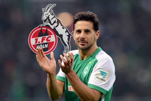 1.FC Koeln vor Verpflichtung von Claudio PIZARRO.FOTOMONTAGE. Archivfoto: Claudio PIZARRO (HB), Geste, Gestik, Freude, Sieg, freuen, Erfolg, Fussball 1. Bundesliga, 25. Spieltag, SV Werder Bremen (HB) - Hannover 96 (H) 4:1, am 05.03.2016 in Bremen Deutschland. ÂÂ