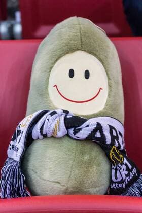 Maskottchen SWEnja ; Fans, Publikum, Zuschauer, Stimmung Schwarz-Weiß Erfurt (SWE), Volleyball, 1. Bundesliga Frauen, Allianz MTV Stuttgart - Schwarz-Weiß Erfurt,