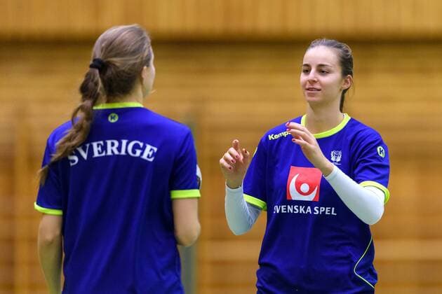 Handball, WM, Damen, Schweden Training 171130 Daniela Gustin under en träning med det svenska landslaget inför handbolls-VM den 30 november 2017 i Stuttgart. Copyright: CARLxSANDIN BB171130CS019