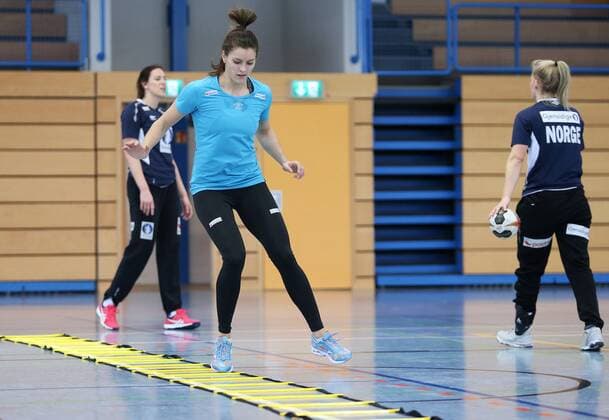BAU 02.12.2017 Ditzingen Handball WM Training Norwegen