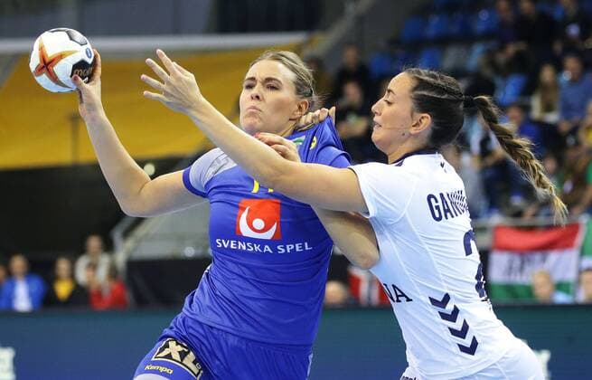 Handball, WM Damen, Schweden - Argentinien Bietigheim , Handball WM Frauen 2017 Schweden vs. Argentinien , von links: Johanna Westberg ( SWE ) Macarena Gandulfo ( ARG )