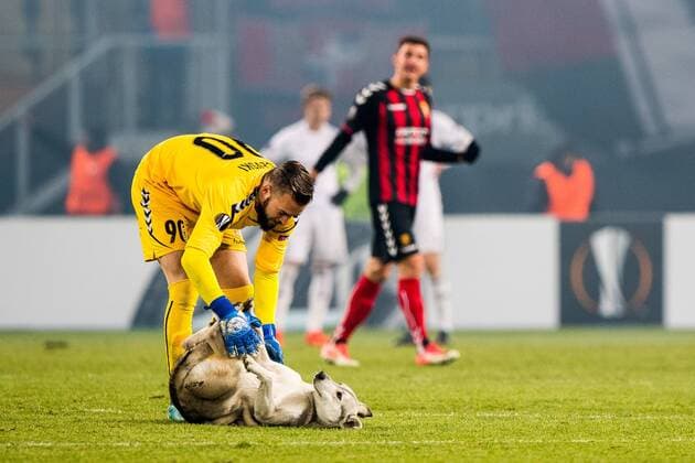 Themen der Woche Bilder des Tages - SPORT 171207 Goalkeeper Filip Gacevski of FK Vardar and a street dog that entered the pitch during the Europa League match between FK Vardar and Rosenborg on December 7, 2017 in Skopje. Photo: Jon Olav Nesvold BILDBYRN kod JE 160096 Copyright: JONxOLAVxNESVOLD BB171207ZM008
