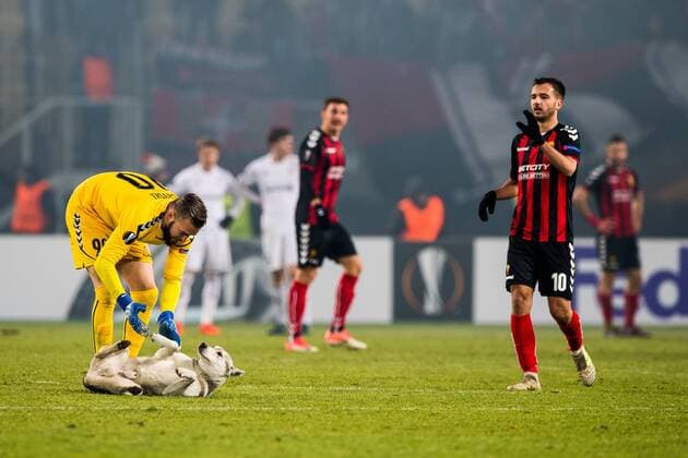 171207 Goalkeeper Filip Gacevski of FK Vardar and a street dog that entered the pitch during the Europa League match between FK Vardar and Rosenborg on December 7, 2017 in Skopje. Photo: Jon Olav Nesvold BILDBYRN kod JE 160096 Copyright: JONxOLAVxNESVOLD BB171207ZQ009