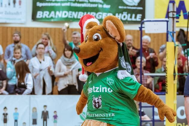 Maskottchen Netzino 09.12.2017, Netzhoppers SolWo Königspark KW Bestensee - Berlin Recycling Volleys, Volleyball-Bundesliga, Punktspiel, Königs Wusterhausen, Landkost-Arena