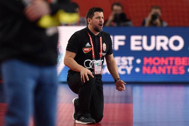 Handball, EM, Ungarn - Spanien European Handball Championship, Group D, 2nd Round, Hungary - Spain 15.01.2018., Croatia, Arena, Varazdin - European Handball Championship, Group D, 2nd Round, Hungary - Spain. VRANJES Ljubomir, coach. VjeranxZganec-Rogulja PIXSELL