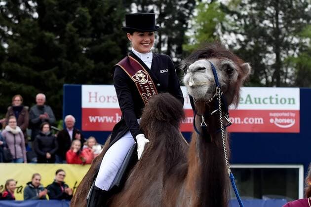 Dressur - Horses and Dreams 2018 - CDI4* GP FS - Grand Prix Freestyle to Music am 28.04.2018 auf dem Hof Kasselmann in Hagen a.T.W. Kristina Bröring-Sprehe (Deutschland) einem Kamal bei der Siegerehrung.