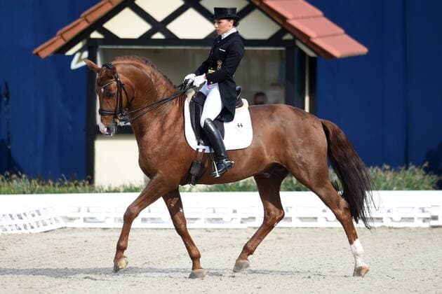Dressur - Horses and Dreams 2018 - CDI4* GP FS - Grand Prix Freestyle to Music am 28.04.2018 auf dem Hof Kasselmann in Hagen a.T.W. Charlott-Maria Schürmann Schuermann (Deutschland) auf ihrem Pferd Burlington FRH.