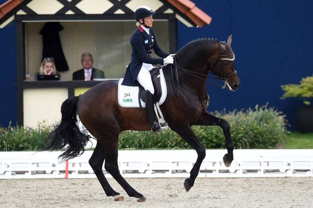 Dressur - Horses and Dreams 2018 - CDI4* GP FS - Grand Prix Freestyle to Music am 28.04.2018 auf dem Hof Kasselmann in Hagen a.T.W. Ingrid Klimke (Deutschland) auf dem Pferd Franziskus 15.