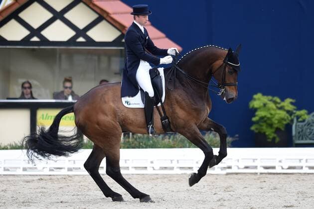 Dressur - Horses and Dreams 2018 - CDI4* GP FS - Grand Prix Freestyle to Music am 28.04.2018 auf dem Hof Kasselmann in Hagen a.T.W. Jan-Dirk Gießelmann Giesselmann (Deutschland) auf dem Pferd Real Dancer FRH.