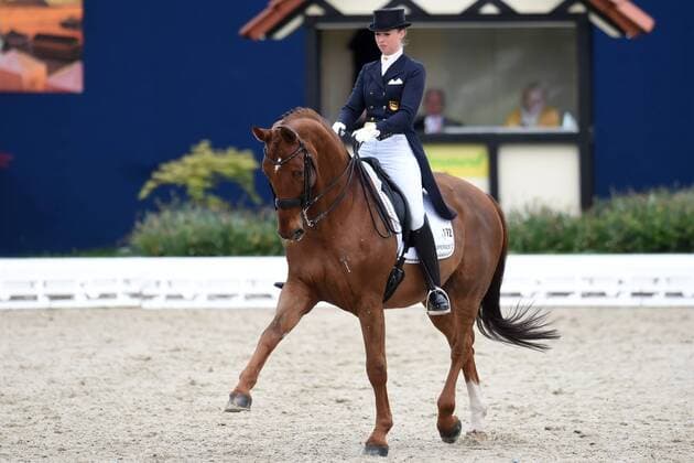 Dressur - Horses and Dreams 2018 - CDI4* GP FS - Grand Prix Freestyle to Music am 28.04.2018 auf dem Hof Kasselmann in Hagen a.T.W. Fabienne Lütkemeier Luetkemeier (Deutschland) auf dem Pferd D Agostino FRH.