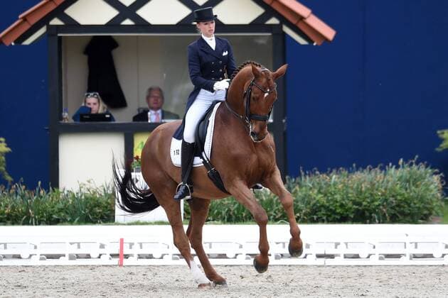 Dressur - Horses and Dreams 2018 - CDI4* GP FS - Grand Prix Freestyle to Music am 28.04.2018 auf dem Hof Kasselmann in Hagen a.T.W. Fabienne Lütkemeier Luetkemeier (Deutschland) auf dem Pferd D Agostino FRH.