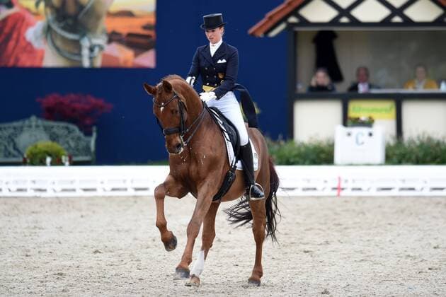 Dressur - Horses and Dreams 2018 - CDI4* GP FS - Grand Prix Freestyle to Music am 28.04.2018 auf dem Hof Kasselmann in Hagen a.T.W. Fabienne Lütkemeier Luetkemeier (Deutschland) auf dem Pferd D Agostino FRH.